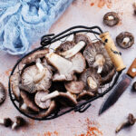 Czy grzyby przynoszą korzyści zdrowotne?