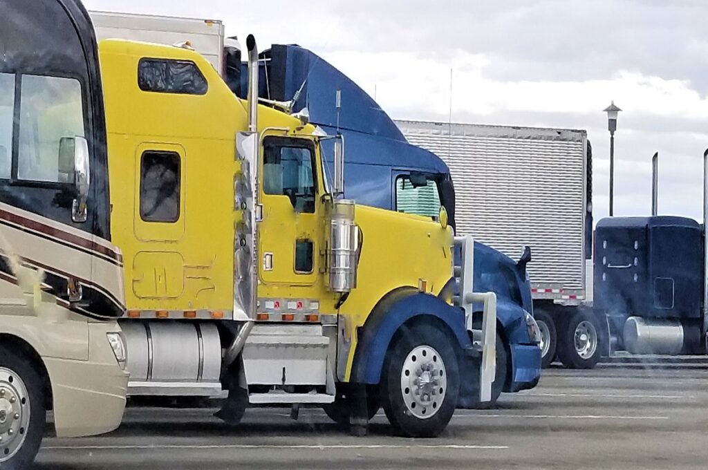 organizacja procesu pransportowego